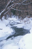 010103_0607_0028_nsls.jpg