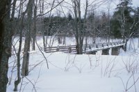 010103_0607_0018_nsls.jpg