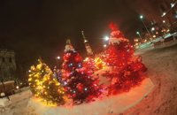 010103_0607_0007_nsls.jpg