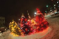 010103_0607_0006_nsls.jpg