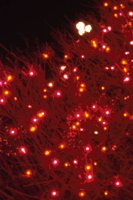 010103_0607_0005_nsls.jpg