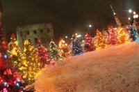 010103_0607_0004_nsls.jpg