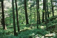001215_0597_0027_nsls.jpg