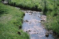 001215_0597_0023_nsls.jpg