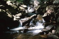 001215_0597_0022_nsls.jpg