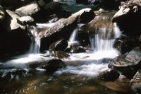 001215_0597_0021_nsls.jpg