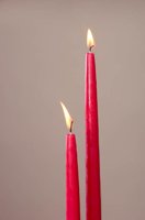 001213_0594_0020_lsls.jpg