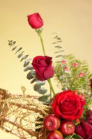 001213_0594_0011_lsls.jpg