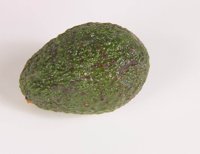 001208_0590_0010_lsls.jpg