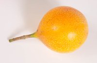 001208_0590_0006_lsls.jpg