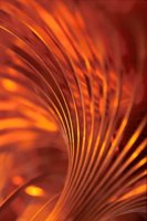 001205_0581_0030_nsls.jpg