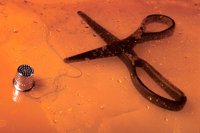 001205_0581_0010_nsls.jpg