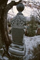 001130_0580_0019_nsls.jpg