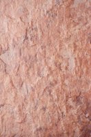 001109_0549_0388_nsls.jpg