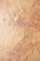 001109_0549_0383_nsls.jpg