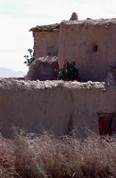 001109_0549_0302_nsls.jpg