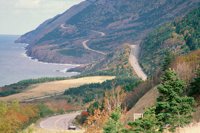 001109_0549_0272_nsls.jpg