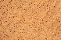 001109_0549_0242_nsls.jpg