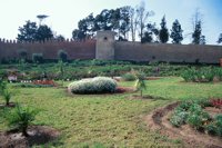 001109_0549_0240_nsls.jpg