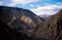 001109_0549_0220_nsls.jpg