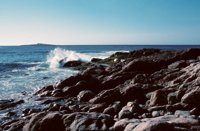 001109_0549_0213_nsls.jpg