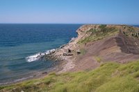 001109_0549_0205_nsls.jpg