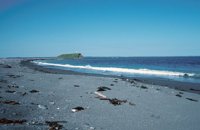 001109_0549_0186_nsls.jpg