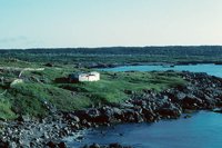 001109_0549_0182_nsls.jpg