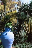001109_0549_0174_nsls.jpg