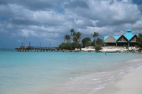 001102_0539_0180_nsls.jpg