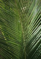 001102_0539_0179_nsls.jpg