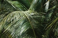 001102_0539_0051_nsls.jpg
