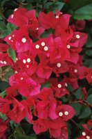 001102_0539_0024_nsls.jpg
