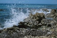 001102_0539_0022_nsls.jpg