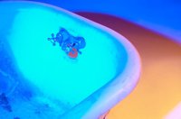 001027_0533_0033_lsls.jpg
