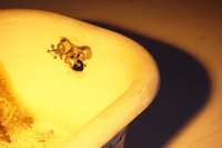 001027_0533_0028_lsls.jpg
