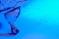 001027_0533_0026_lsls.jpg