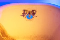 001027_0533_0025_lsls.jpg