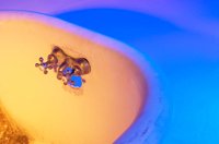 001027_0533_0024_lsls.jpg