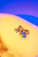 001027_0533_0019_lsls.jpg