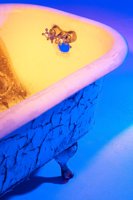 001027_0533_0018_lsls.jpg