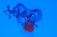 001027_0533_0004_lsls.jpg