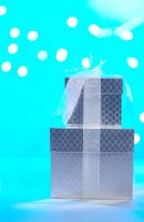001026_0532_0046_lsls.jpg