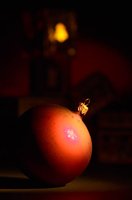 001024_0530_0063_lsls.jpg