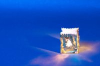 001024_0530_0034_lsls.jpg