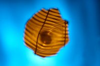 001023_0529_0002_lsls.jpg