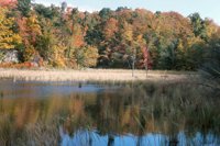 001003_0514_0039_nsls.jpg