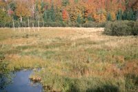 001003_0514_0034_nsls.jpg