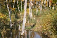 001003_0514_0032_nsls.jpg