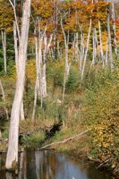 001003_0514_0031_nsls.jpg